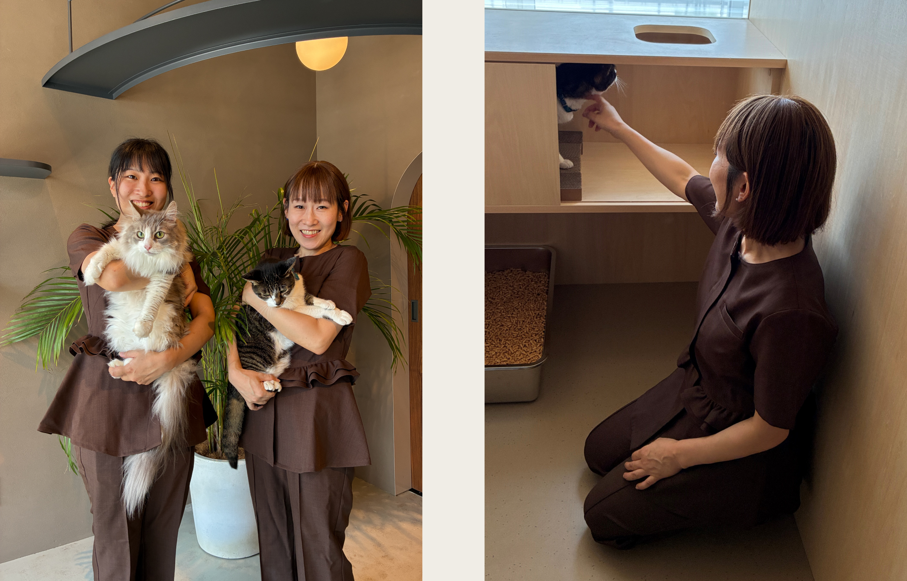 動物ホテルで働く女性